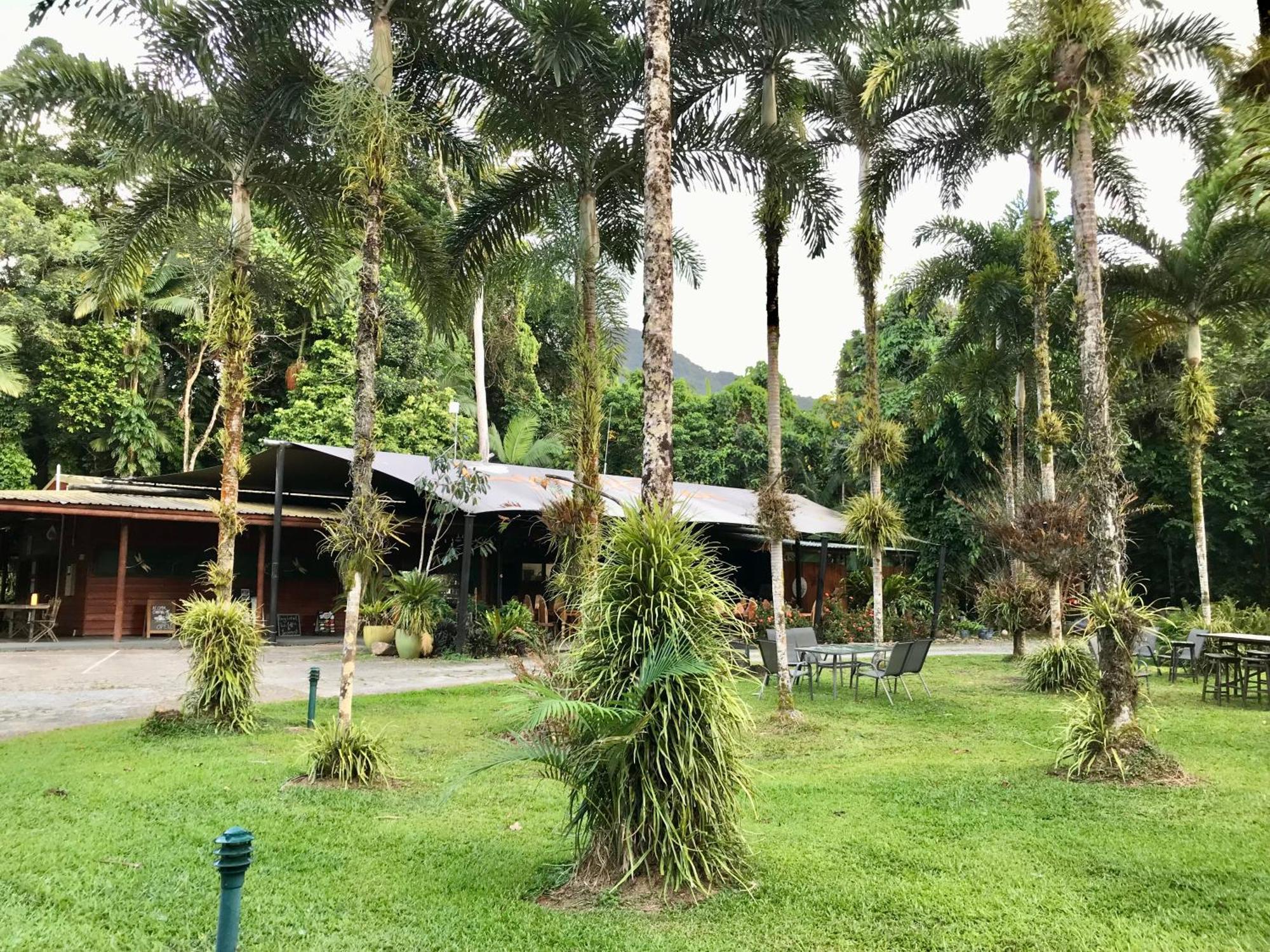 הוילה דיוואן Daintree Siesta מראה חיצוני תמונה